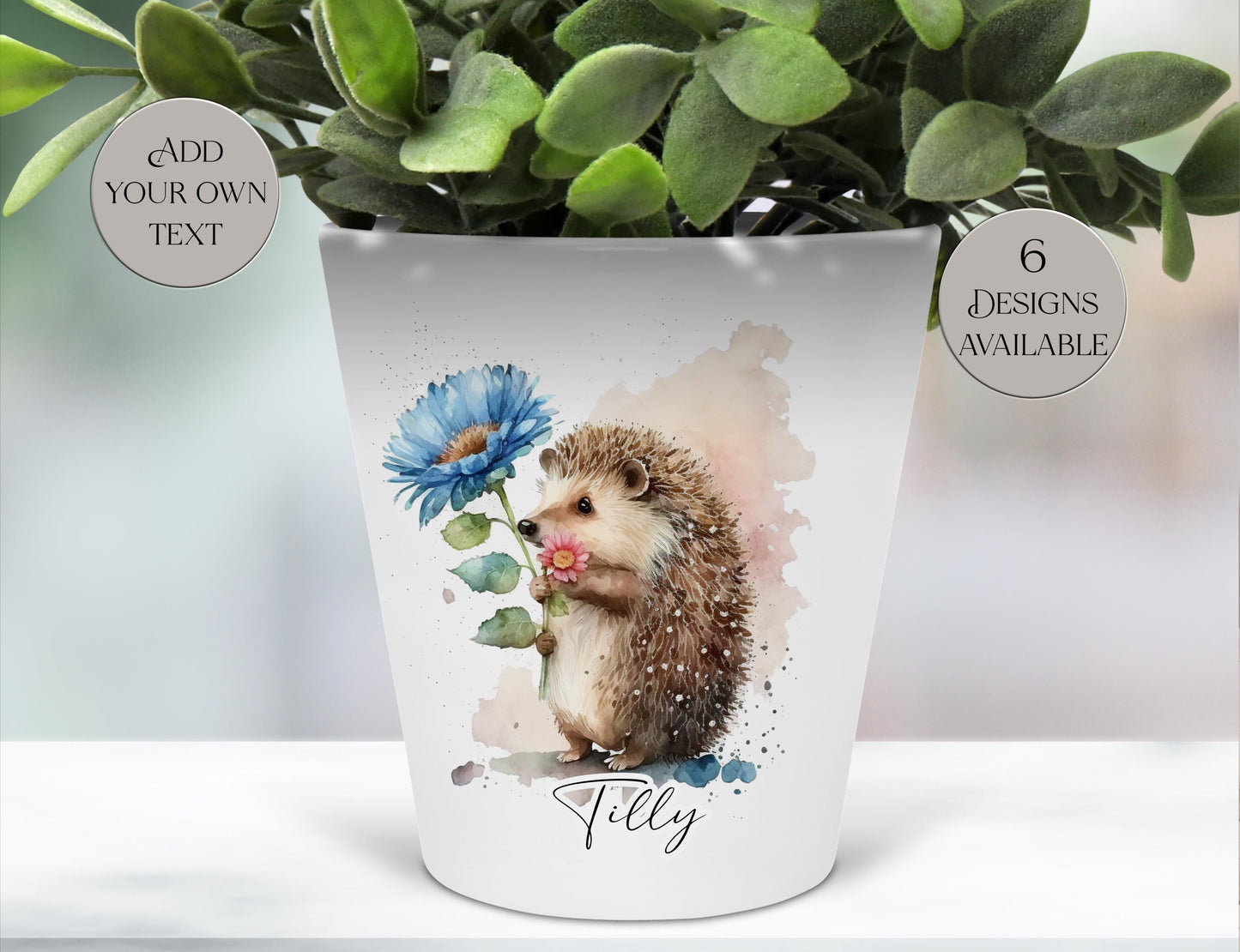 Personalised Watercolour Hedgehog Plant Pot | Pen Pot | Hedgehog Lover Gift