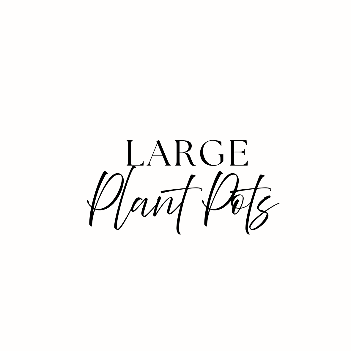 Large Ceramic Plant Pots