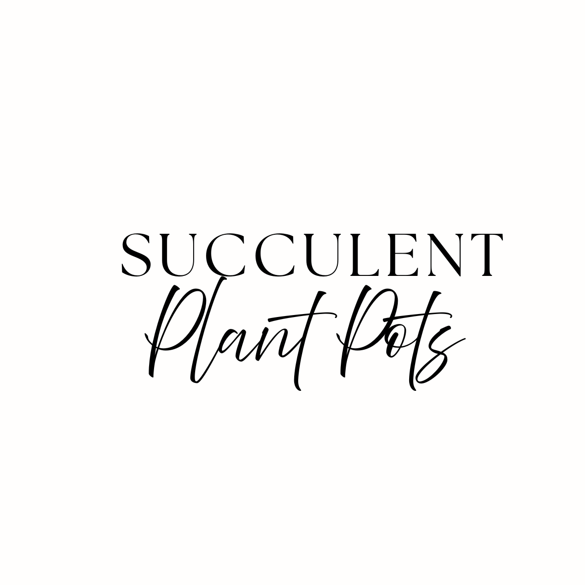 Succulent Plant Pots