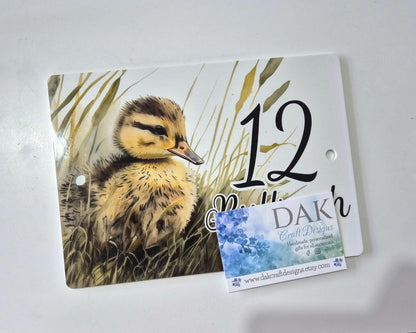 Personalised Watercolour Duck House Sign | Acrylic Gate Plaque | New Home Gift