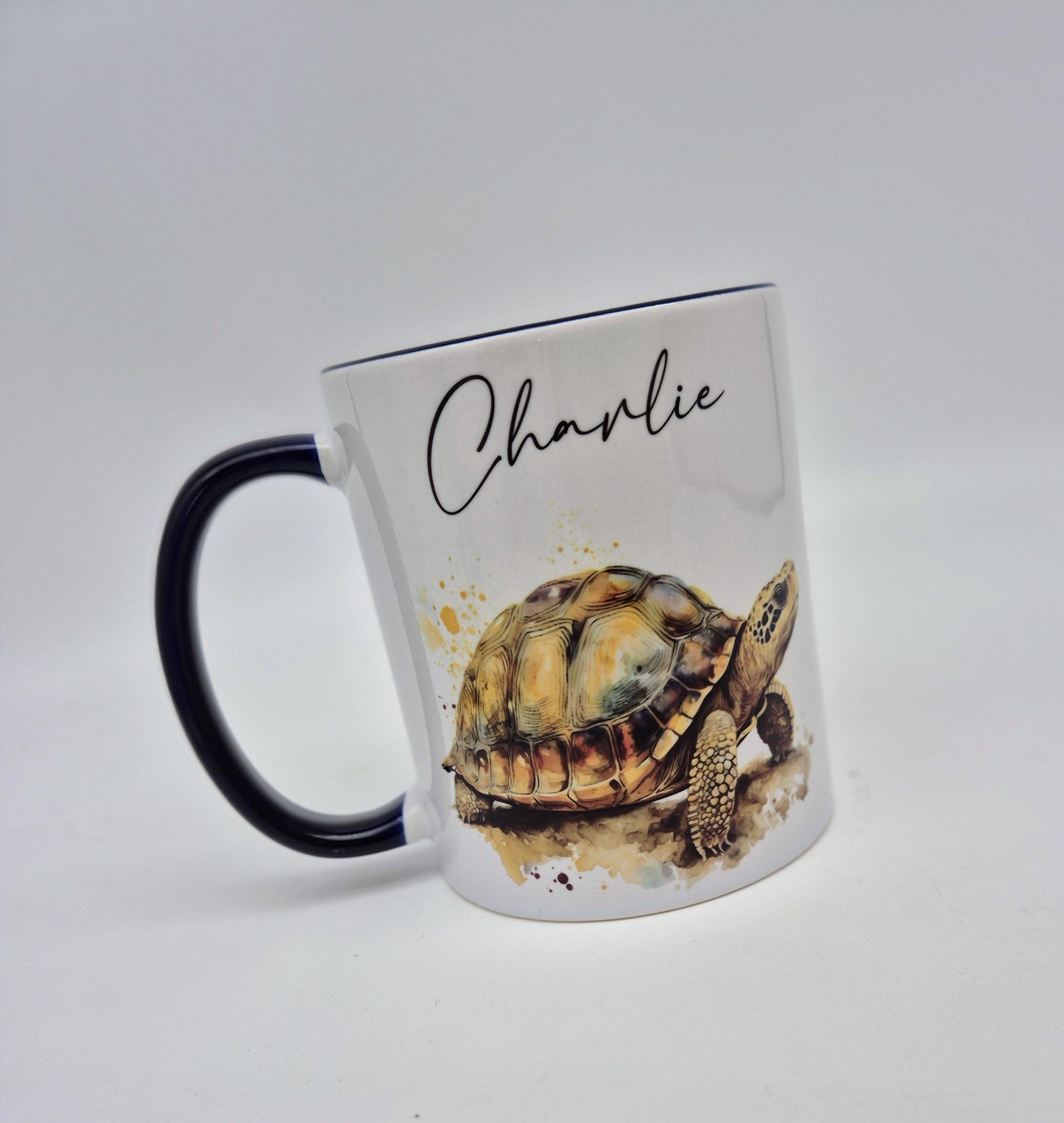 Personalised Tortoise Mug & Coaster Set – Custom Reptile Gift