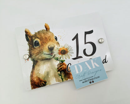 Personalised Watercolour Squirrel Acrylic House Sign – Custom Address Plaque