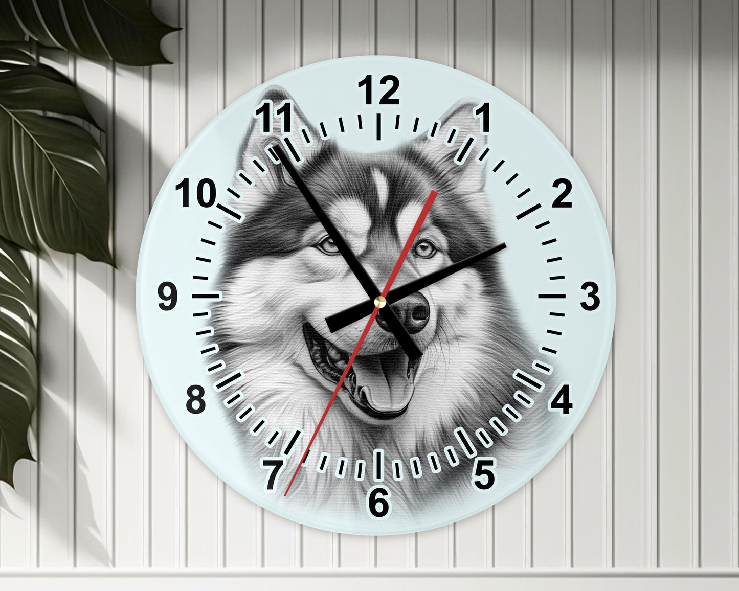 Alaskan Malamute Glass Wall Clock – 20cm & 30cm | Dog Lover Home Décor Gift