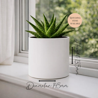 Personalised English Mastiff Plant Pot – Watercolour Dog Lover Gift | Succulent Planter