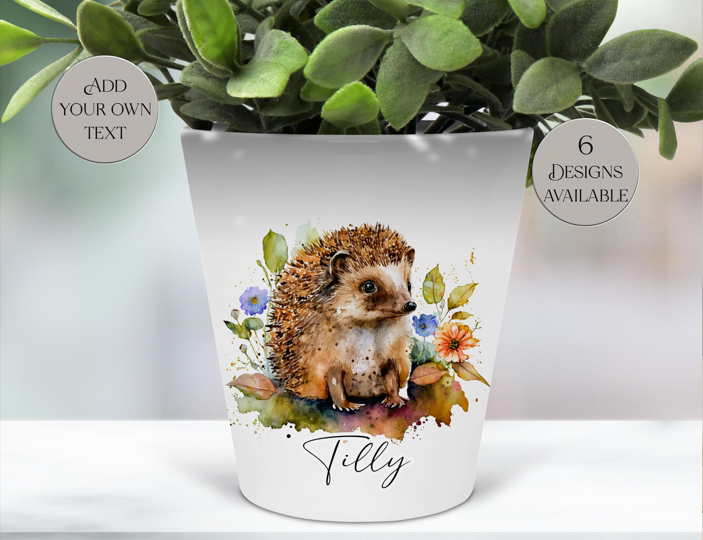 Personalised Watercolour Hedgehog Plant Pot | Pen Pot | Hedgehog Lover Gift