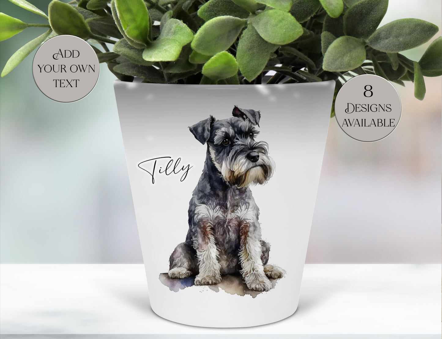 Personalised Schnauzer Plant Pot – Pen Holder, Desk Organiser & Dog Lover Gift - Memorial Keepsake