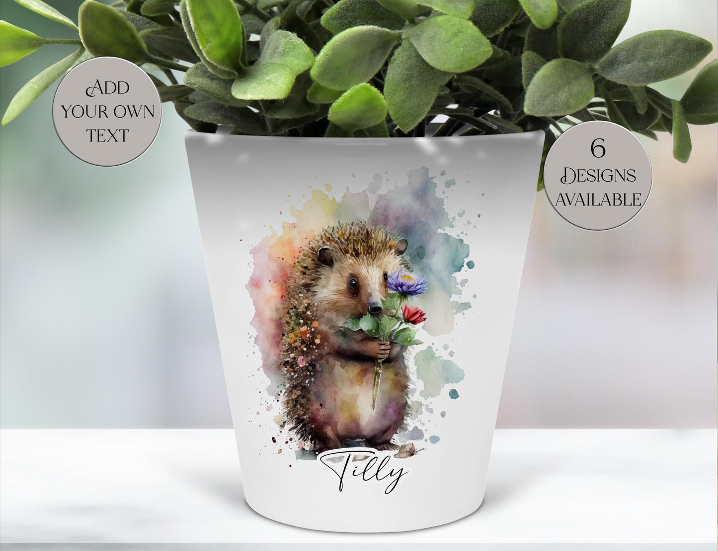 Personalised Watercolour Hedgehog Plant Pot | Pen Pot | Hedgehog Lover Gift