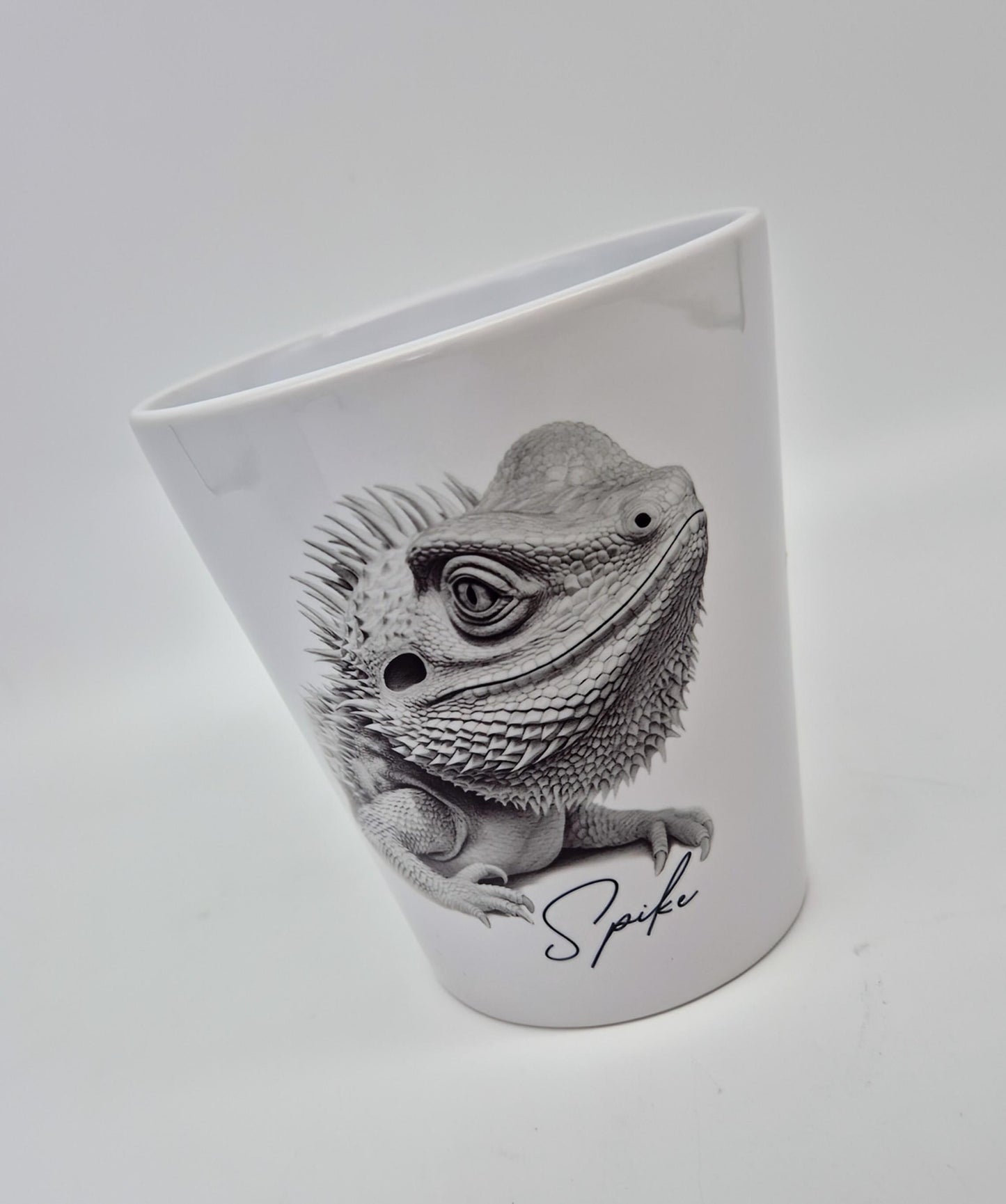 Personalised Bearded Dragon Plant Pot – Pen Holder & Brush Organiser | Unique Reptile Lover Gift