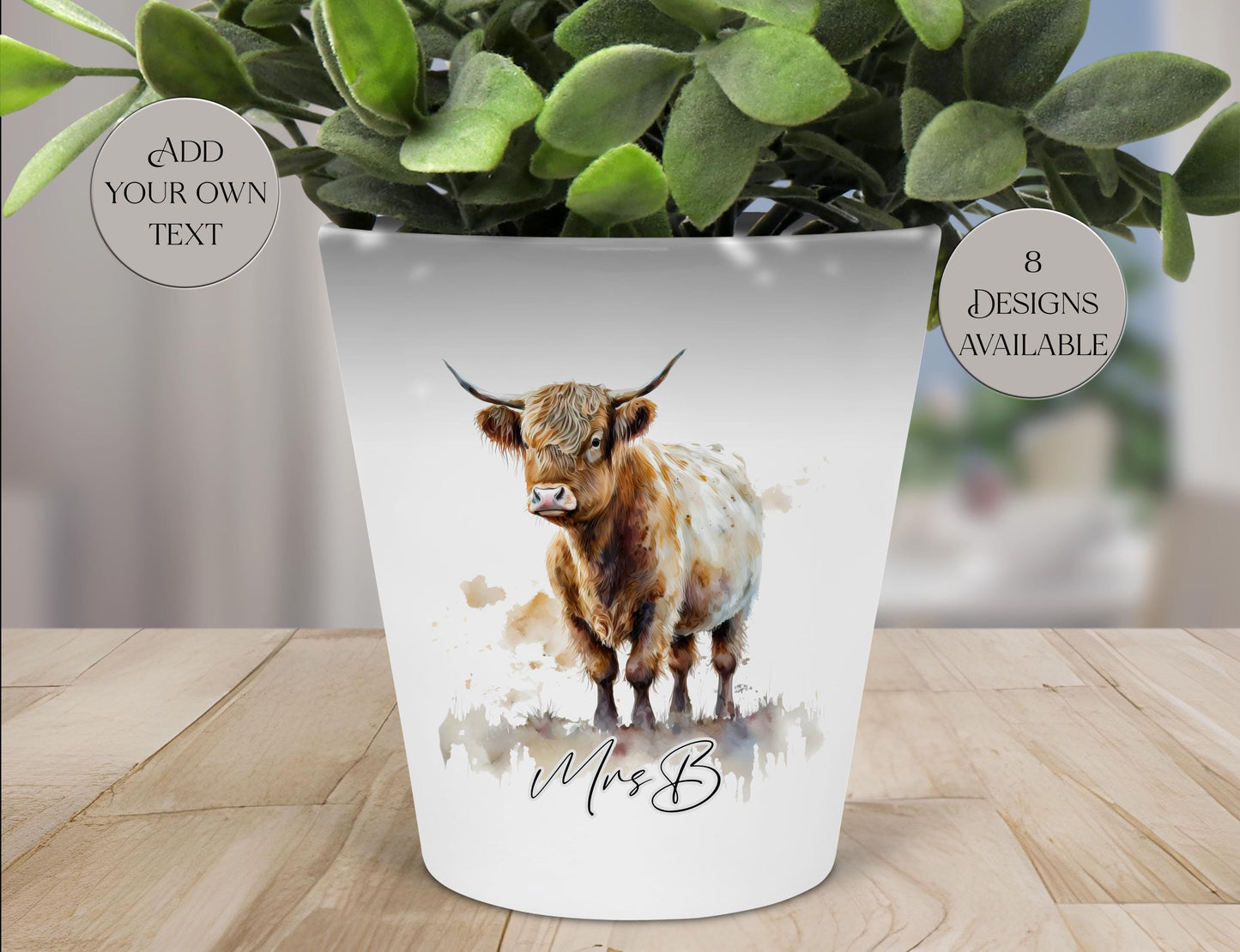 Personalised Highland Cow Plant Pot | Custom Pen Pot & Planter | Highland Cow Gift