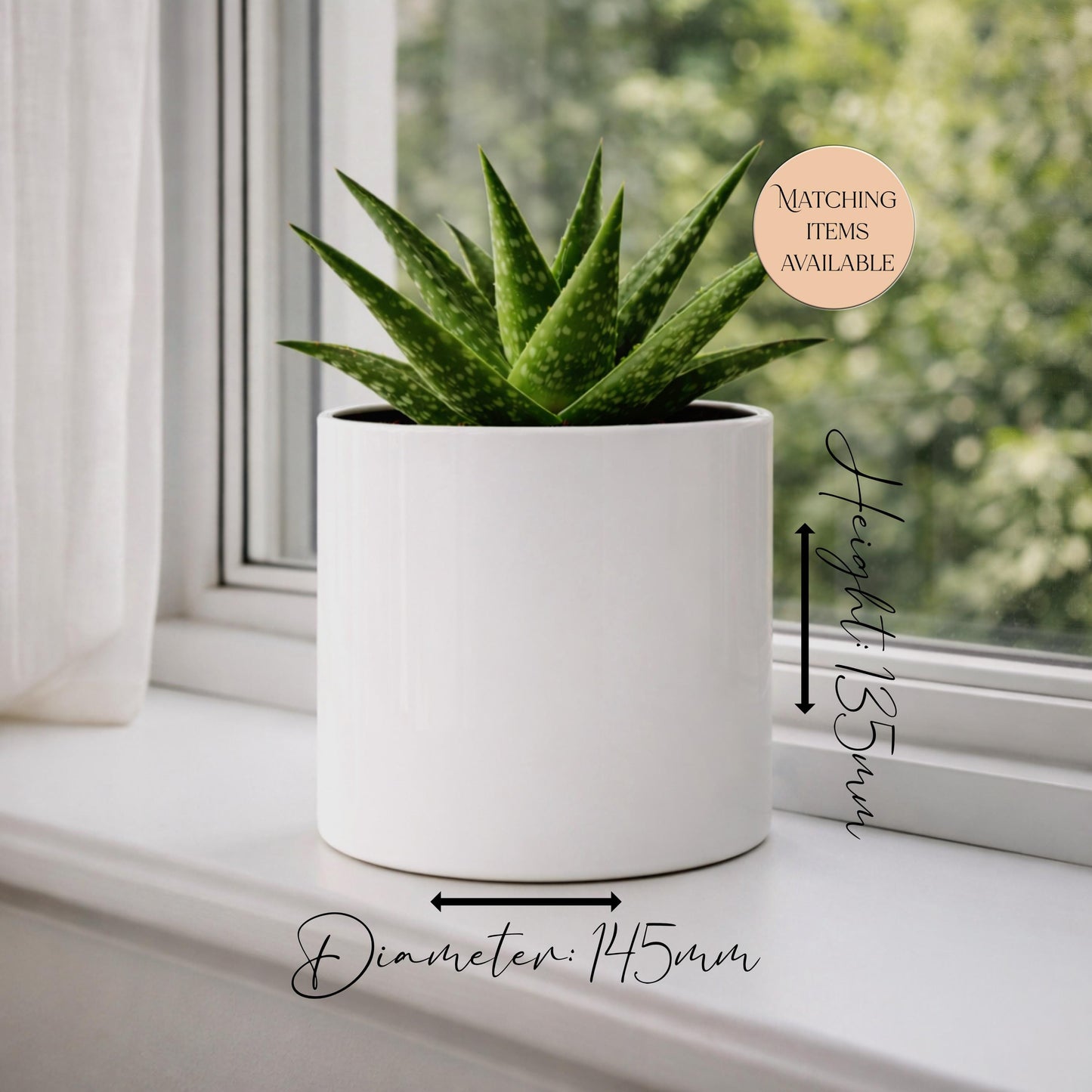 Personalised Border Terrier Plant Pot | Succulent Planter | Dog Lover Gift