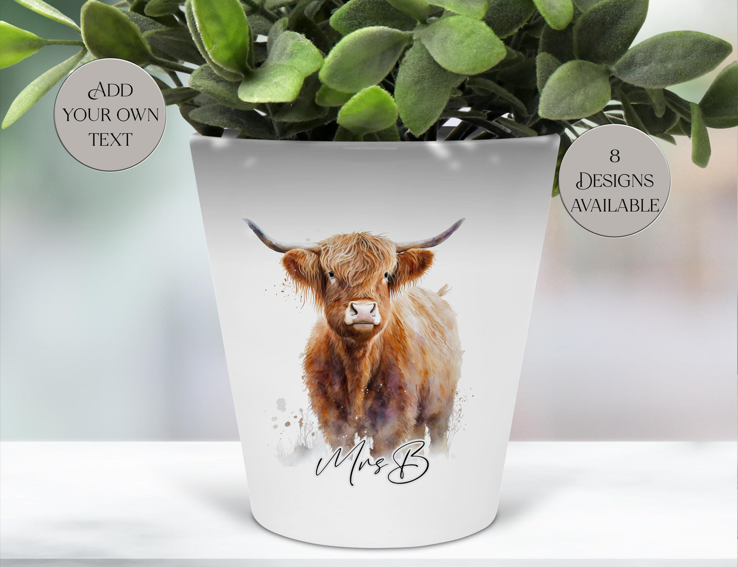 Personalised Highland Cow Plant Pot | Custom Pen Pot & Planter | Highland Cow Gift