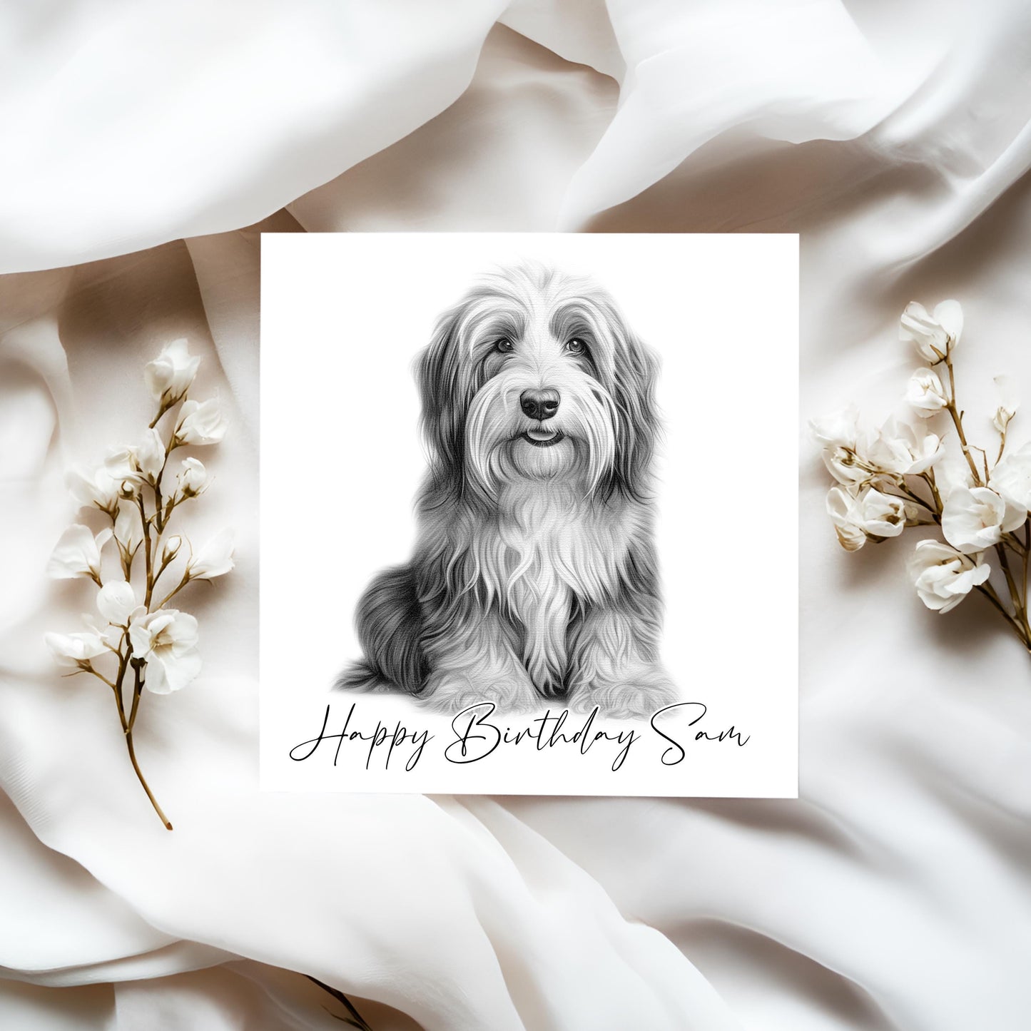 Personalised Bearded Collie Birthday Card – Custom Dog Lover Greeting Card | Optional Matching Coaster