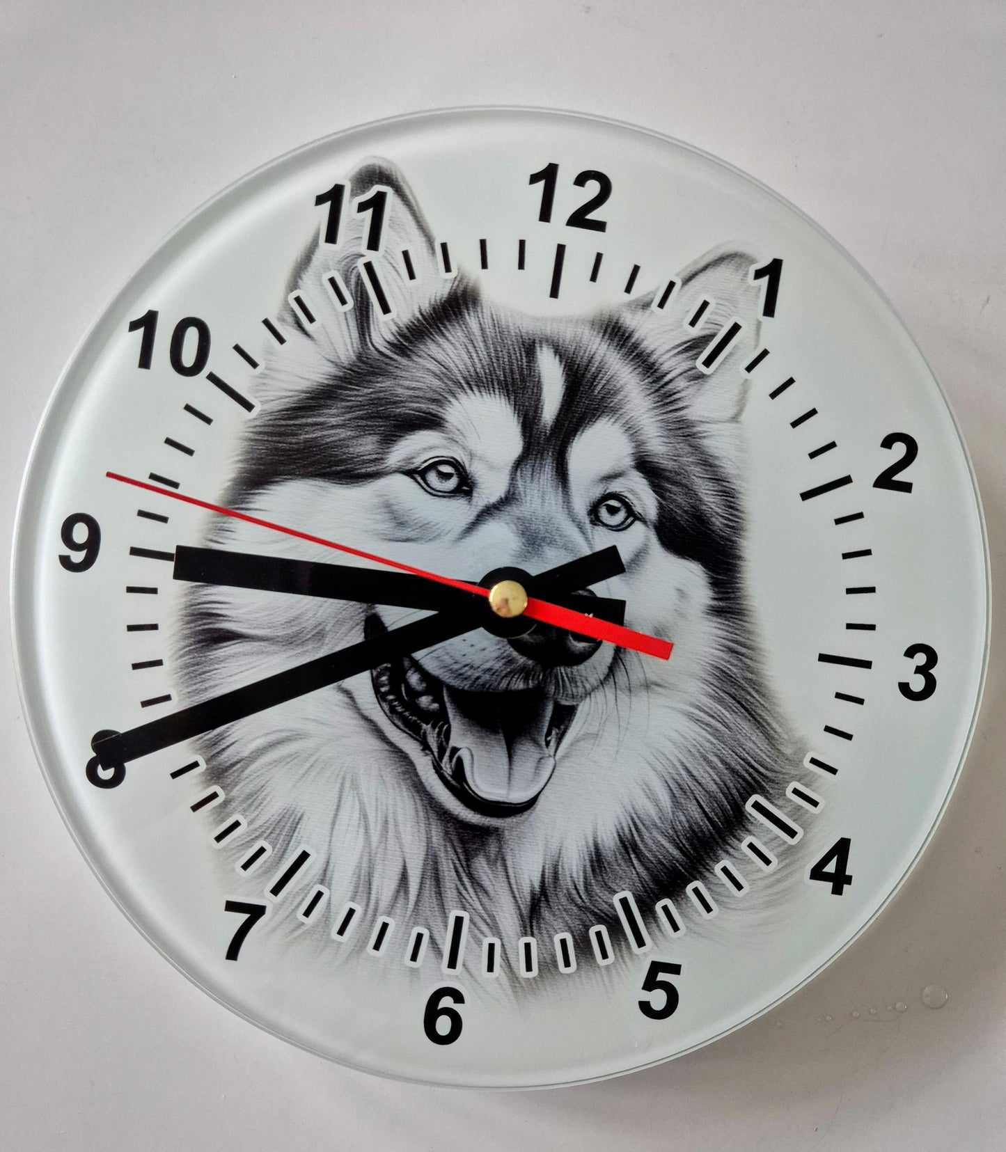 Alaskan Malamute Glass Wall Clock – 20cm & 30cm | Dog Lover Home Décor Gift